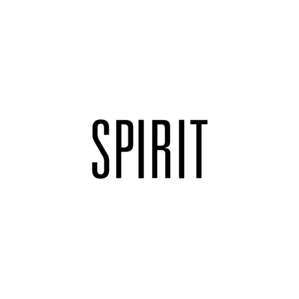 SPIRIT Lite 2D CAD